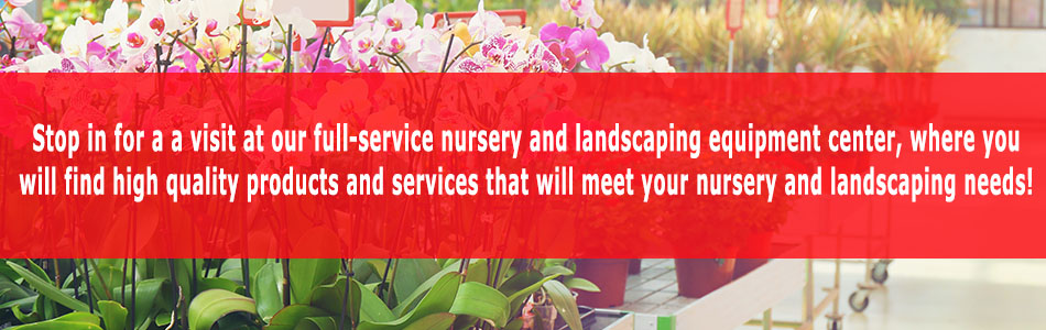 A lawn landscape filled with grass and brightly colored flowers